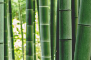 Bamboe kussen